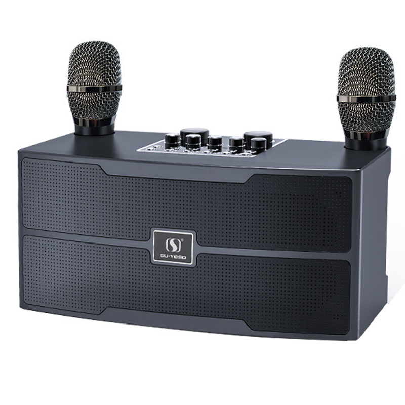 Audio X Music - 120W High Power Draadloze Draagbare Microfoon