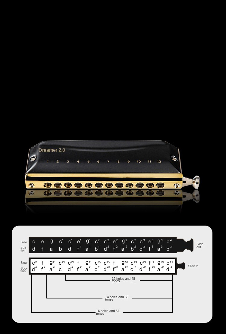 Easttop Dromer 2.0 Versie 12 T - Harmonica 10 Hole recensie en prijs