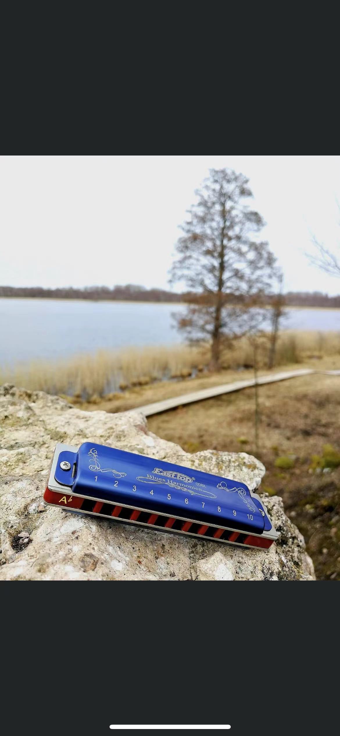EASTTOP T008K Nieuwe blauwe kl - Harmonica 10 Hole recensie en prijs