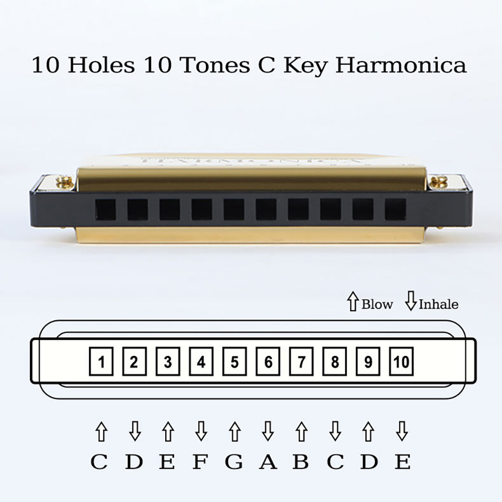 10-gaats C mondharmonica Blues - Harmonica 10 Hole recensie en prijs