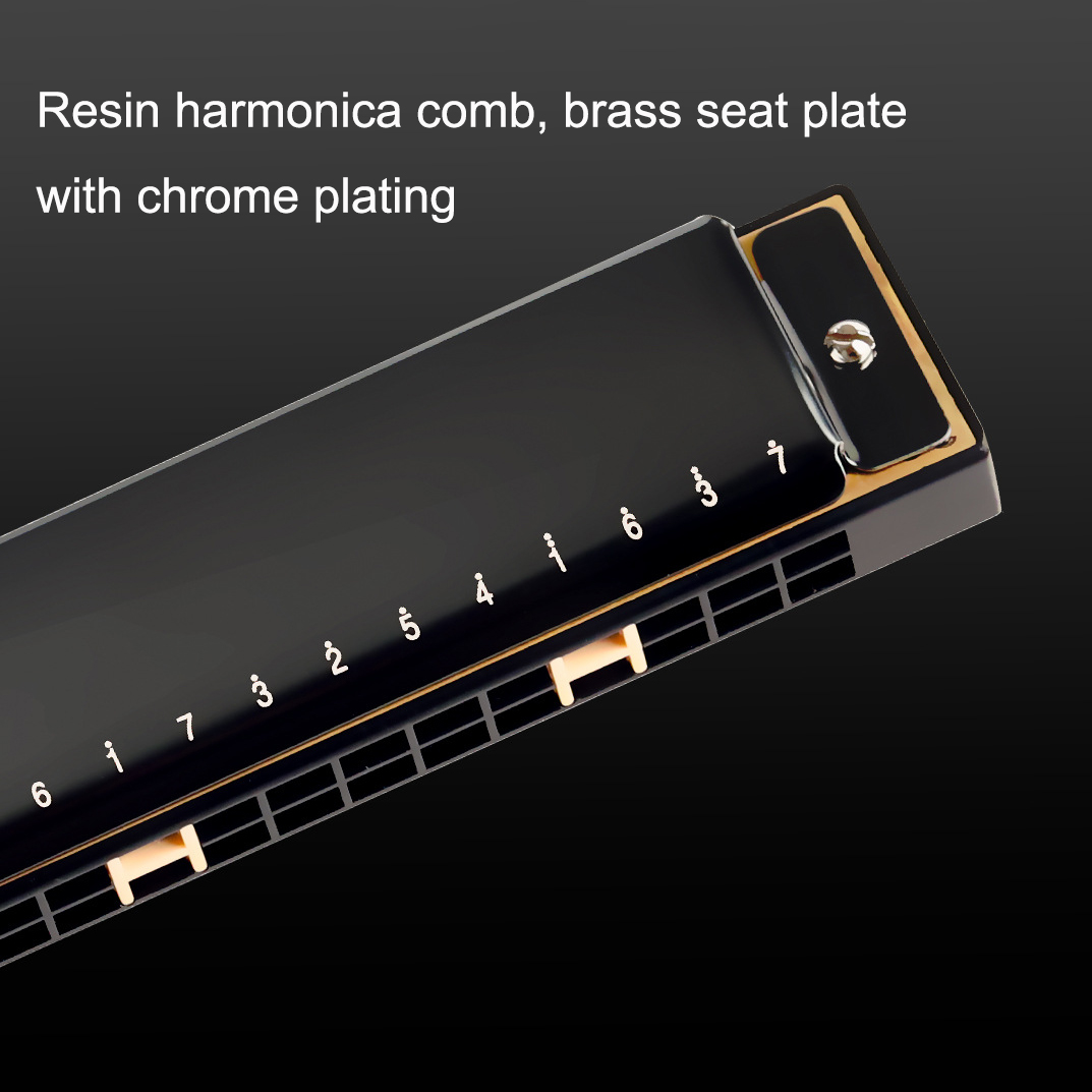 Guoguang Tremolo Harmonica 24- - Harmonica 10 Hole recensie en prijs