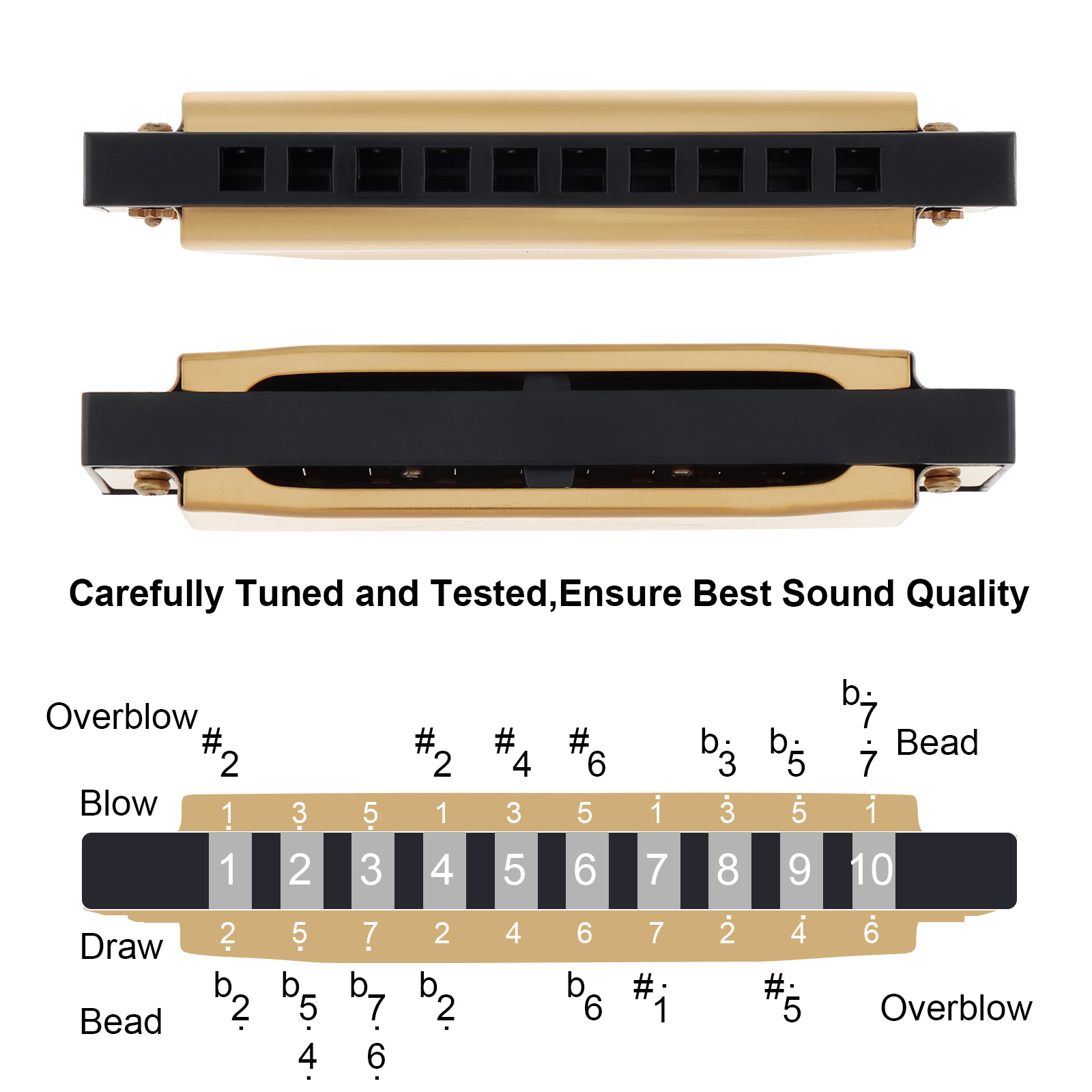 Zilver/goud KeyC 10-gaats 20-t - Harmonica 10 Hole recensie en prijs