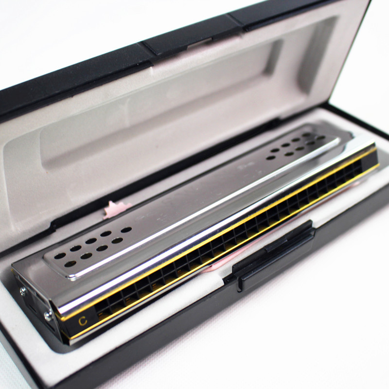 Beide Zijden Swan Harmonica Tr - Harmonica 10 Hole recensie en prijs