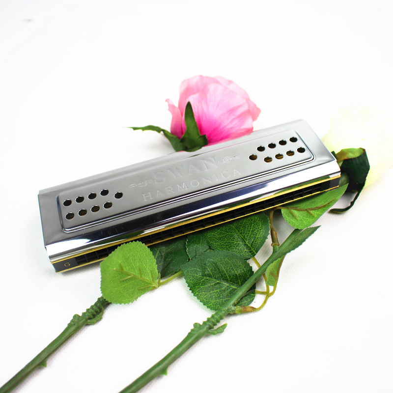 Beide Zijden Swan Harmonica Tr - Harmonica 10 Hole recensie en prijs